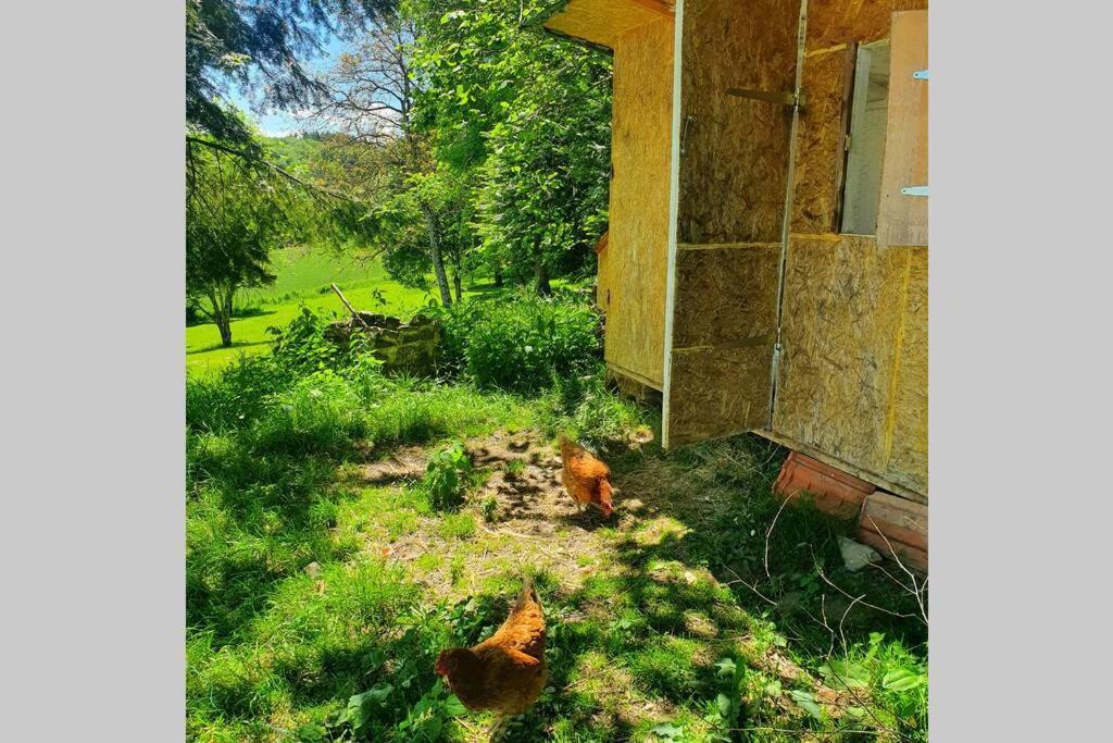Gite Les Hauts De Villemaloux Dontreix Экстерьер фото